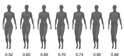 Red biases sex categorization of human bodies